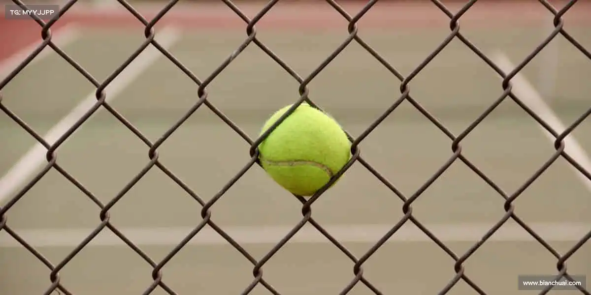 乐虎lehu唯一官网——全民动起来，共筑体育梦！🌟